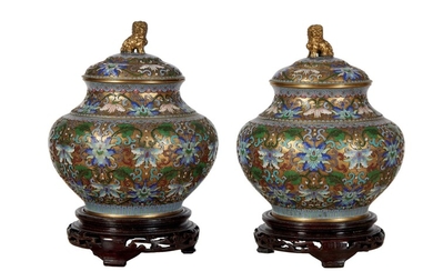 101 CHINE Paire de vases en bronze cloisonné à décor émaillé de rinceaux et branchages...