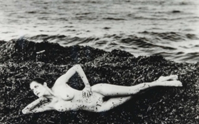 HELMUT NEWTON (1920-2004), Nude on Seaweed, Saint Tropez, 1984