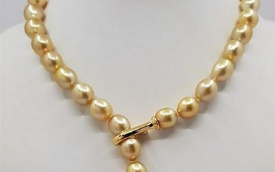 10x13mm Golden South Sea Pearls - Necklace