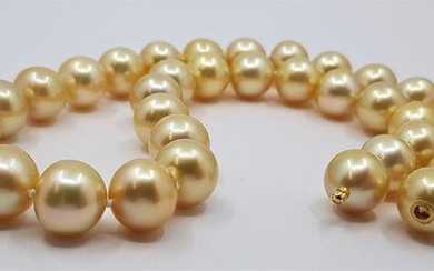 12x13mm Deep Golden South Sea Pearls - Necklace