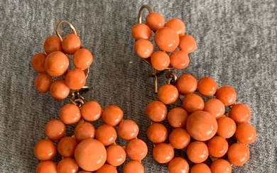 14 kt. Gold - Earrings coral