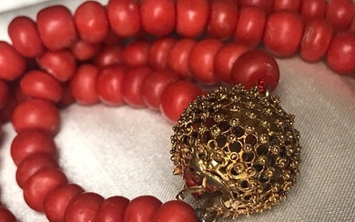 14 kt. Gold - Necklace Blood Coral