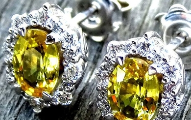14 kt. White gold - Earrings Sapphire - Ceylon Canary Yellow- Diamonds - Certified - No Reserve