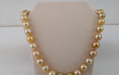 18 kt. South sea pearls - Necklace