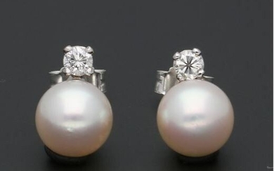 18 kt. White gold - Earrings, Akoya - 0.16 ct Diamond