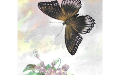 1920's Red-Spotted Purple Butterfly Color Lithograph