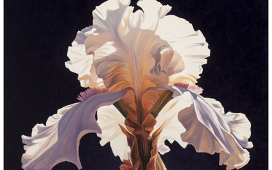 Ed Mell (b.1942), Symmetrical Iris (1994)