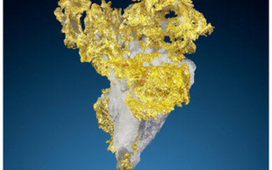Crystallized Gold in Quartz Eagle's Nest Mine (Mystery...