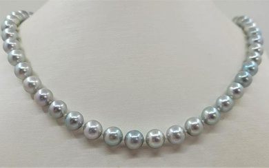 8x8.5mm Silvery Akoya Pearls - Necklace