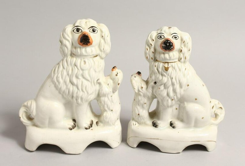 A RARE PAIR OF 19TH CENTURY STAFFORDSHIRE KING CHARLES
