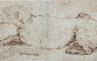 A dog wearing a collar decorated with scallop shells, Girolamo Francesco Maria Mazzola, called Parmigianino