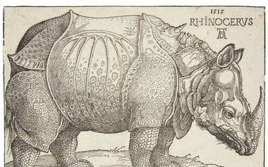 Albrecht Dürer (German, 1471–1528), , The Rhinoceros