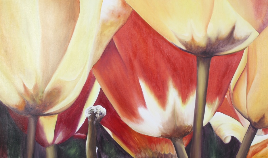 Alejandro Hermann (Argentina, 20th century), Tulips, oil on canvas. Signed lower right, framed, signed and dated 2001 verso, 95.3cm x 160cm exc. frame