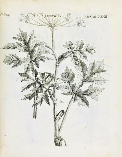 Botany. CRANTZ. Stirpium Austriacarum Pars I