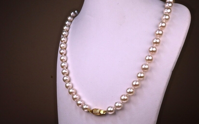 Collier Chocker de perles de culture Akoya du Japon