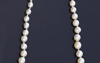 Collier choker en chute de perles ( 9 mm... - Lot 201 - Coutau-Bégarie