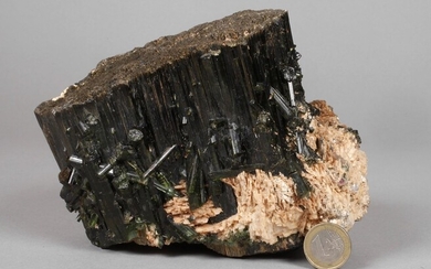 Etage de tourmalinegrand cristal de tourmaline noir-vert, avec de nombreux petits cristaux de tourmaline accolés...