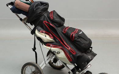 GOLF CLUBS with accessories, including bag & balls.