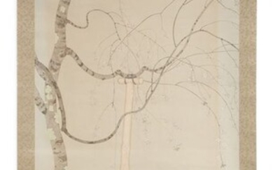 Hanging scroll, Kakejiku, Scroll - Paper, Silk - Sakura - Kazusa/Hiiro/Itsusa 一彩 - Superb & large hanging scroll with a painting of a young cherry tree beginning to blossom, sealed. - Japan - Shōwa period (1926-1989)