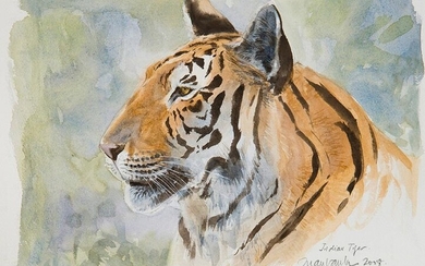 JUAN VARELA (Madrid 1950) "Indian tiger". 2008 Watercolour on paper Signed, dated and titled "Indian tiger 2008" Measurements: 23 x 31 cm. Exit: 230uros. (38.269 Ptas.)