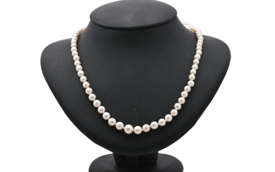 Jewellery Pearl necklace PEARL NECKLACE, clasp 18K white gold, cultur...