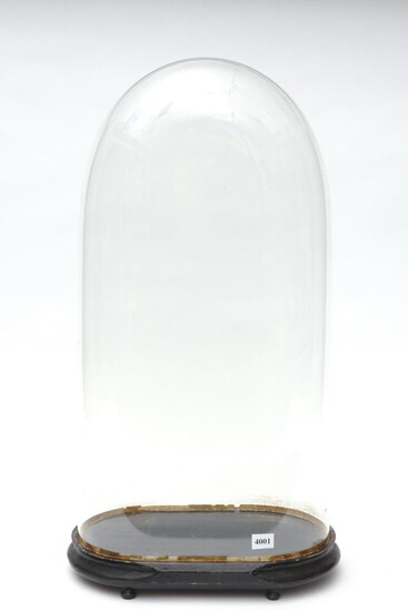 LARGE VICTORIAN OVAL GLASS DOME WITH EBONISED BASE H.58CM