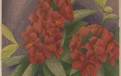 LUIGI RIST (New Jersey/Vermont, 1888-1959), "Rhododendron", 1942., Color woodcut, 13" x 9.75".