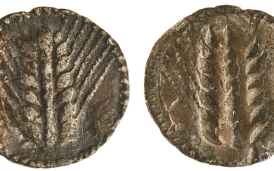 Lucania. Metapontion. AR 1/3 Stater, ca. 530-500 BC. 2.6 gms. MET downwards at left, barley ear...