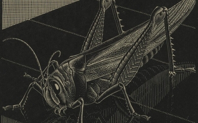 (-), M.C. Escher (1898-1972) Sprinkhaan (Grasshopper) (1935) Signed...