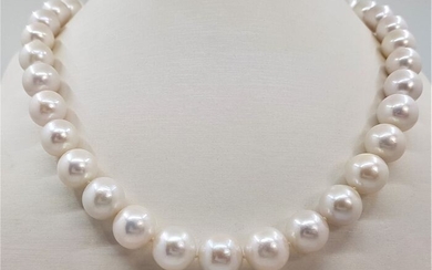 NO RESERVE - 10x13mm Round White Edison Freshwater pearls - Necklace