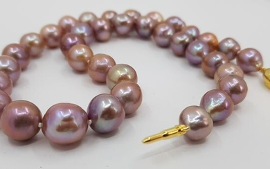 No Reserve Price - 10x12mm Beautiful Colour Edison Freshwater pearls - Necklace