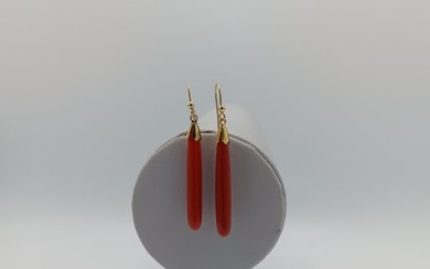 No Reserve Price - Earrings Yellow gold Coral