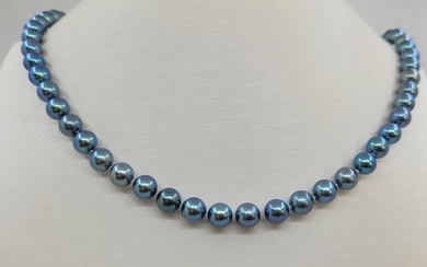 No Reserve Price - Necklace 6.5x7mm Cobalt Blue Akoya Pearls