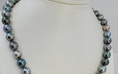 No Reserve Price - Necklace PSL Certified Aurora Peacock - 8.0x11.8mm Multi Tahitian Pearls