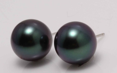 No reserve price - 18 kt. White Gold - 11x12mm Round Tahitian Pearls - Earrings