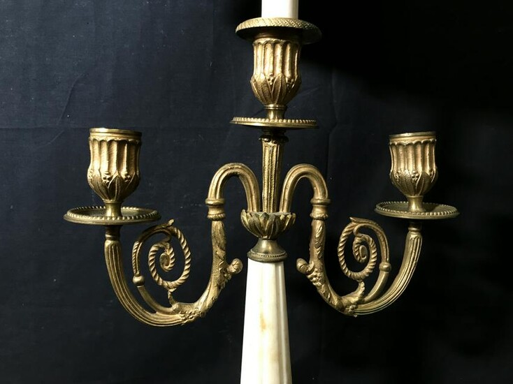 Pair of Lion Footed Brass & Marble Lamps