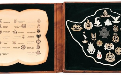 REGIMENTAL BADGES OF THE RHODESIAN ARMY CASE