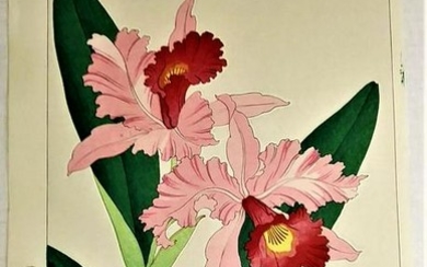 SHODO KAWARAZAKI: orchida-ran