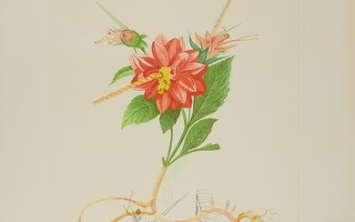 Salvador Dali "Dahlia Unicornis" Aquatint