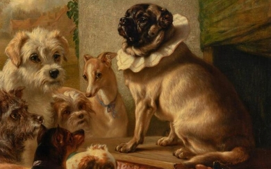 Samuel John Carter British, 1835-1892 The Pug Show