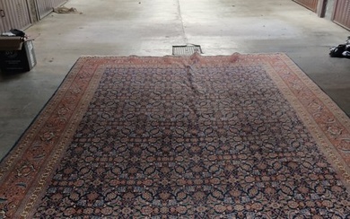 Sarouck - Carpet - 310 cm - 420 cm