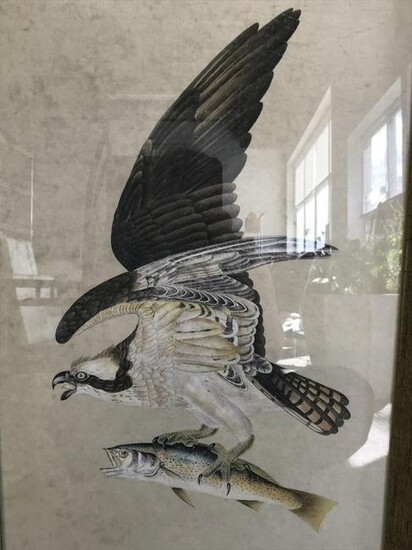 Signed Chinese Hand Painted Bird with Fish