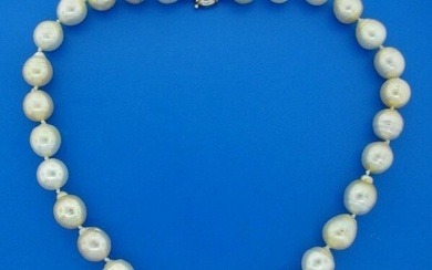 South Sea Pearl Strand NECKLACE 13-15 mm 19.5 inches