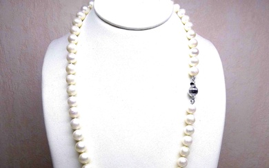 Un collier de perles de culture natur+D11:G81elles diamètre 7 - 7,5 mm d'une longueur de...
