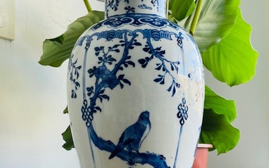 Vase - Porcelain - China - Guangxu (1875-1908)
