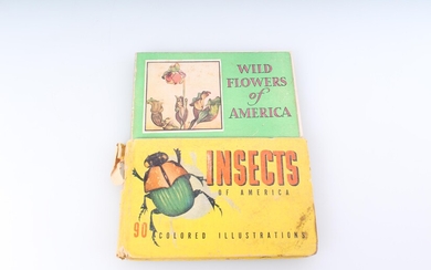 Wildflowers & Insects Of America Books Lot Of Two