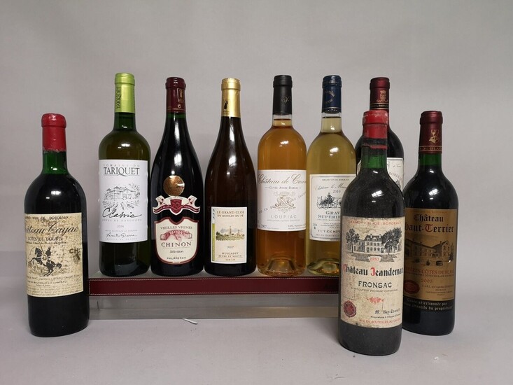 29 bouteilles VINS DIVERS France Blancs et... - Lot 10 - Daguerre