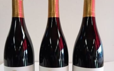 3 bouteilles de Volnay Rouge Grand Vin de... - Lot 10 - Enchères Maisons-Laffitte