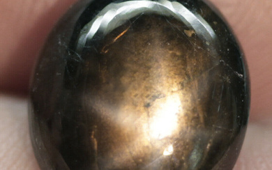 40$---6.75Ct. Star Sapphire Natural Cabochon Golden Black 6 Rays Unheated...