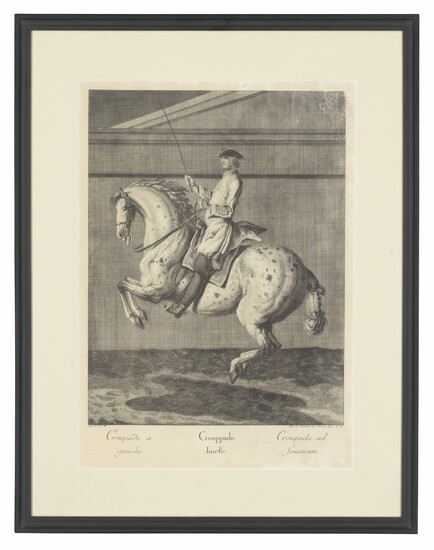 AFTER JOHANN ELIAS RIDINGER (1698-1767), 16 Plates, from: Scenes of Dressage from: Le Nouveau Manège, representant Un homme de Cheval parfait dans touts les exercices